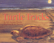 Turtle Tracks