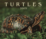 Turtles 2005 - Firefly Books