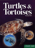 Turtles and Tortoises