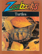 Turtles & Tortoises