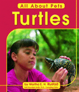 Turtles