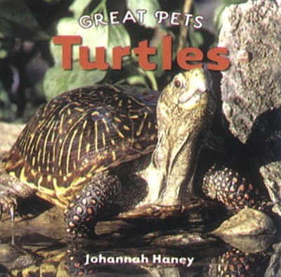 Turtles - Haney, Johannah