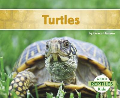 Turtles - Hansen, Grace