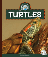Turtles