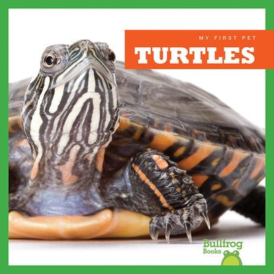 Turtles - Meister, Cari