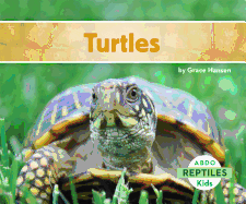 Turtles