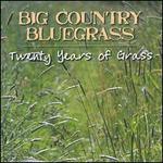 Twenty Years of Grass
