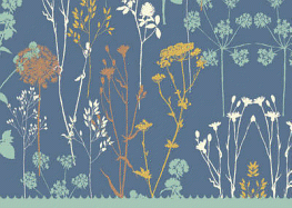 Twilight Garden Boxed Note Cards