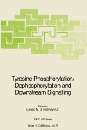 Tyrosine Phosphorylation/Dephosphorylation and Downstream Signalling