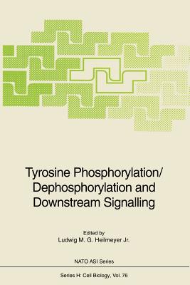 Tyrosine Phosphorylation/Dephosphorylation and Downstream Signalling - Heilmeyer, Ludwig M G Jr (Editor)