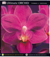 Ultimate Orchid