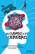 Un Clavado a Tu Cerebro / Take a Dive Into Your Brain