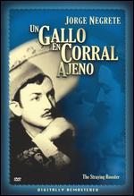 Un Gallo en Corral Ajeno