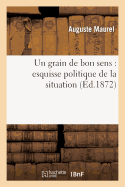 Un Grain de Bon Sens: Esquisse Politique de La Situation