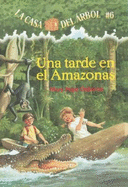 Una Tarde En El Amazonas