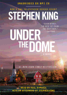 Under the Dome