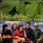 Under the Kudzu