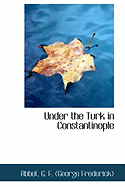 Under the Turk in Constantinople