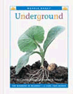 Underground