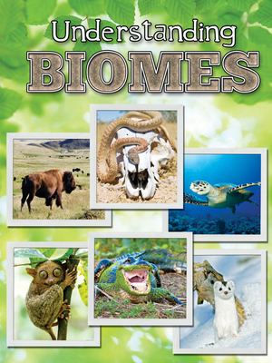 Understanding Biomes - Sturm, Jeanne