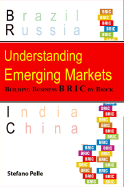Understanding Emerging Markets: Building Business Bric by Brick