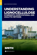 Understanding Lignocellulose: Synergistic Computational and Analytic Methods