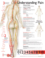 Understanding Pain Anatomical Chart
