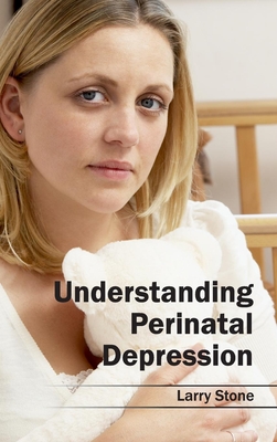 Understanding Perinatal Depression - Stone, Larry (Editor)
