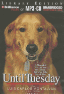 Until Tuesday: A Wounded Warrior and the Golden Retriever Who Saved Him