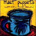 Up on the Sun