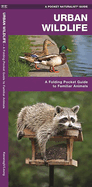 Urban Wildlife