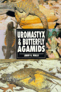 Uromastyx & Butterfly Agamids