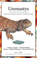 Uromastyx: Plus Other Common Agamids