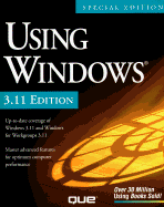 Using Windows 3.1