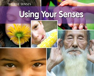 Using Your Senses - Rissman, Rebecca