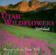 Utah Wildflowers