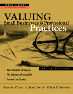 Valuing Small Businesses and Professional Practices