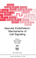 Vascular Endothelium: Mechanisms of Cell Signaling
