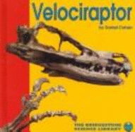 Velociraptor