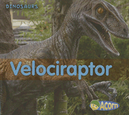 Velociraptor