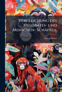 Vergleichung des Hylobates- und Menschen- Sch?dels.