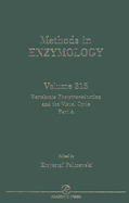 Vertebrae Phototransduction and the Visual Cycle, Part B