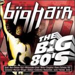 VH1: The Big 80's Big Hair