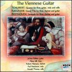 Viennese Guitar