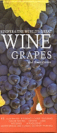 Vinifera: the World's Great Wine Grapes and Their Stories