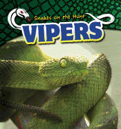 Vipers