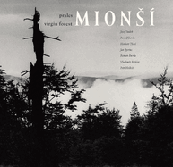 Virgin Forest Mion �