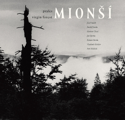 Virgin Forest Mion � - Sudek, Josef (Photographer)
