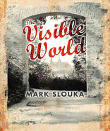 Visible World