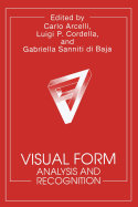 Visual Form: Analysis and Recognition
